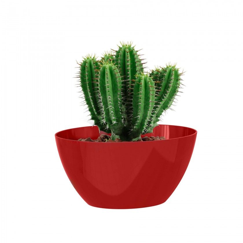 Floreira Bahia 22X13X11cm 1.6L Vermelho Escuro Floreira Bahia 22X13X11cm 1.6L Vermelho Escuro