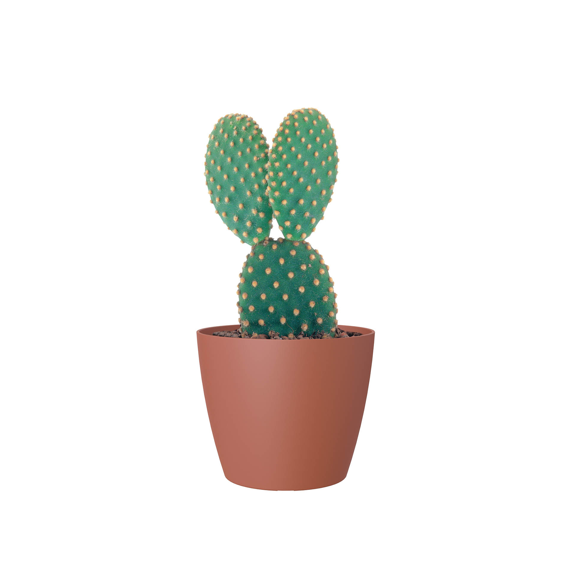 Vaso San Remo Mate Ø6X5.8cm 0.1L Terracota