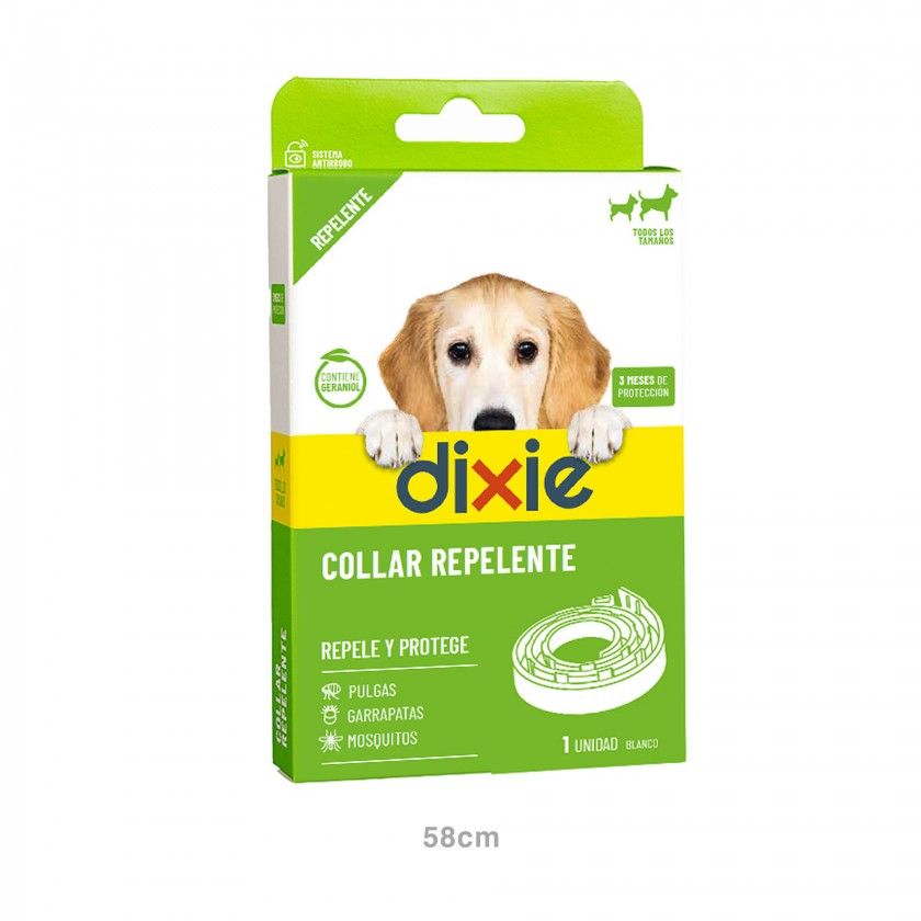 Coleira Cão Dixie Branco 58cm Coleira Cão Dixie Branco 58cm