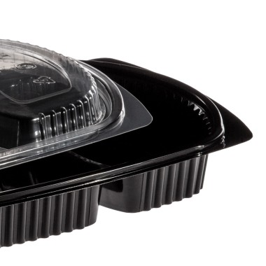 Caixa Take Away Tampa 2 Divisões 26X18.5X2.5cm Pack 102