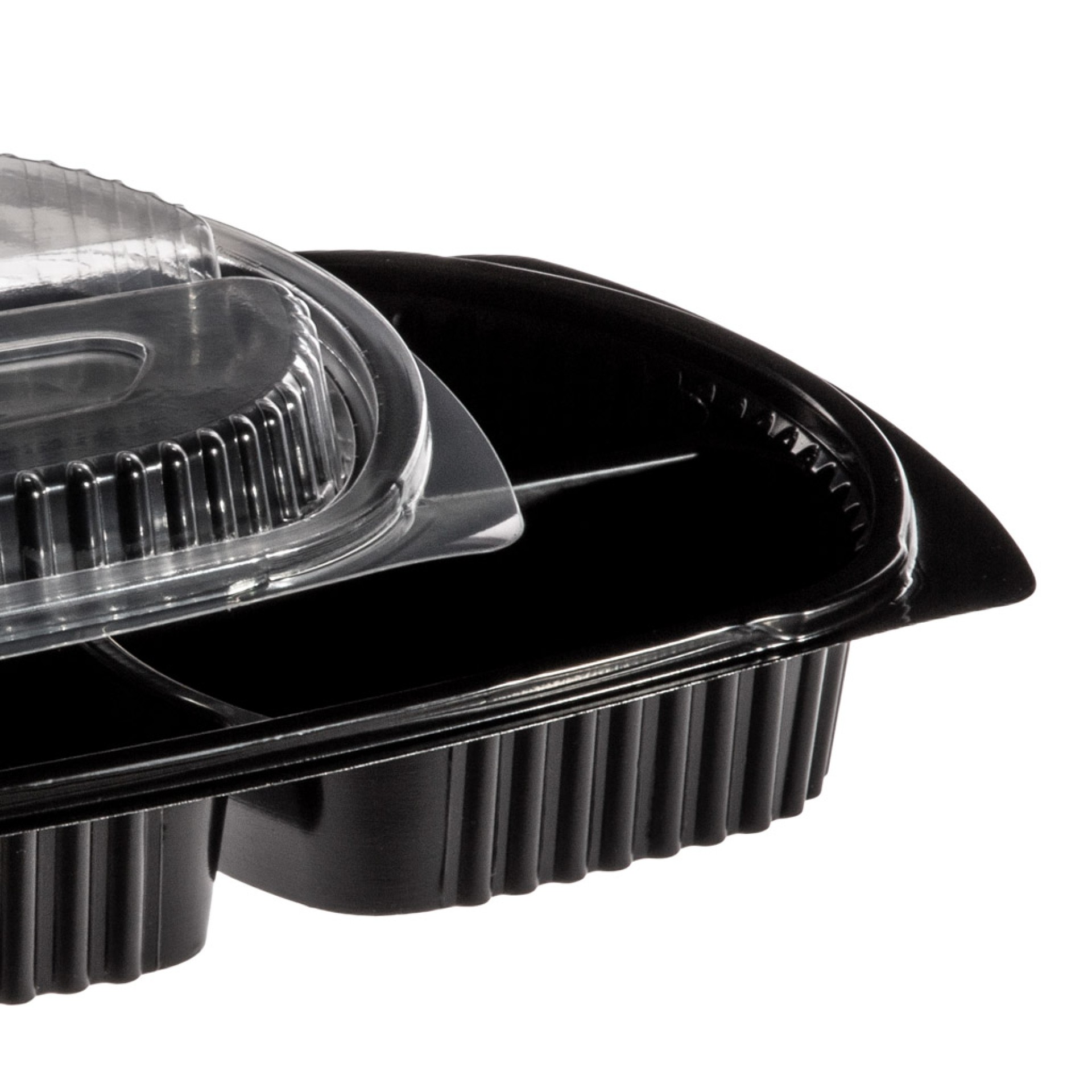 Caixa Take Away Tampa 3 Divisões 26X18.5X2.5cm Pack 102