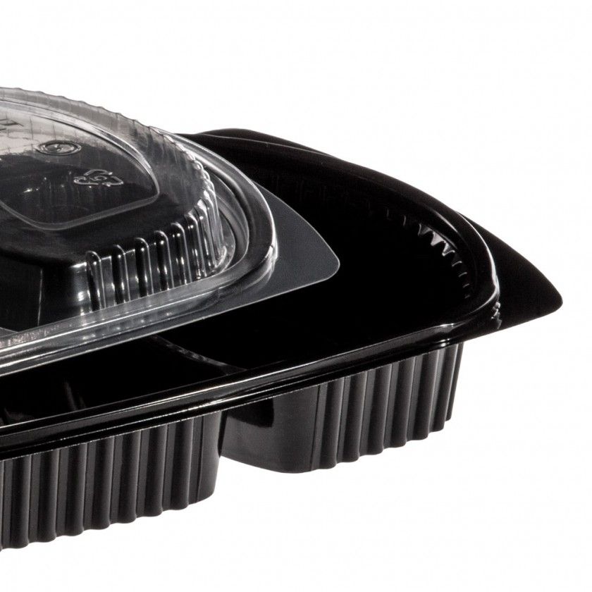Caixa Take Away Tampa 2 Divisões 26X18.5X2.5cm Pack 102 Caixa Take Away Tampa 2 Divisões 26X18.5X2.5cm Pack 102