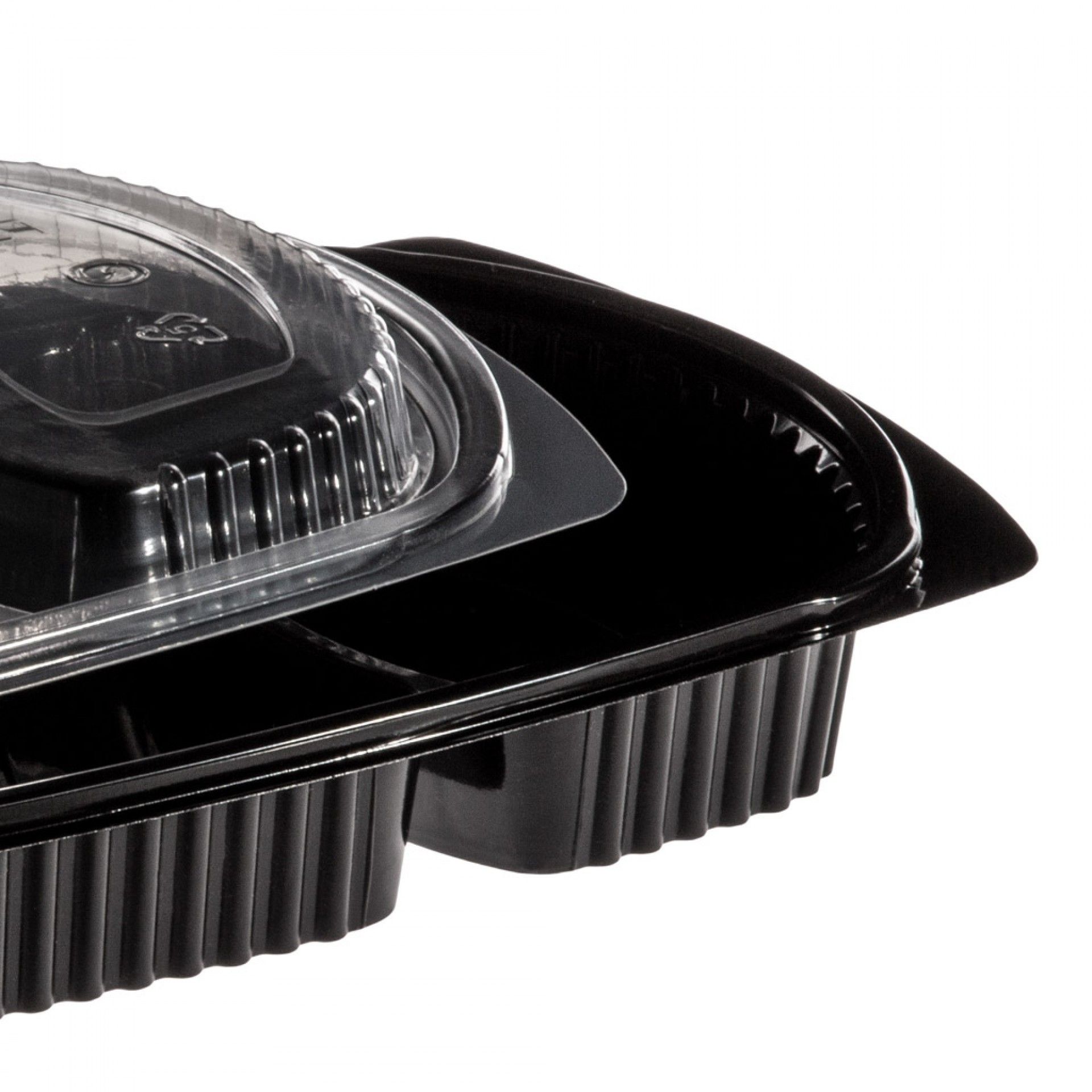 Caixa Take Away Tampa 2 Divisões 26X18.5X2.5cm Pack 102