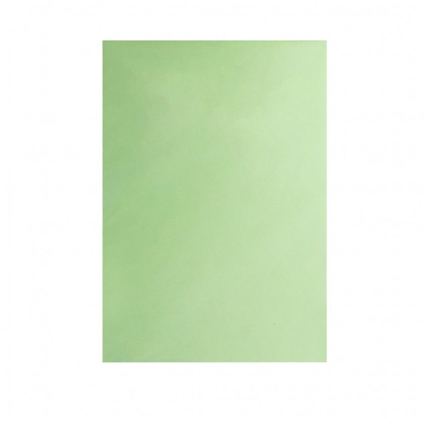 Folha Cartolina Sirio Sadipal A2 Verde Plido 50X65cm