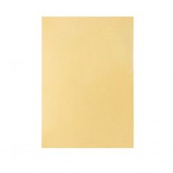Folha Cartolina Sirio Sadipal A2 Ocre 50X65cm