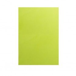 Folha Cartolina Sirio Sadipal A2 Lima 50X65cm