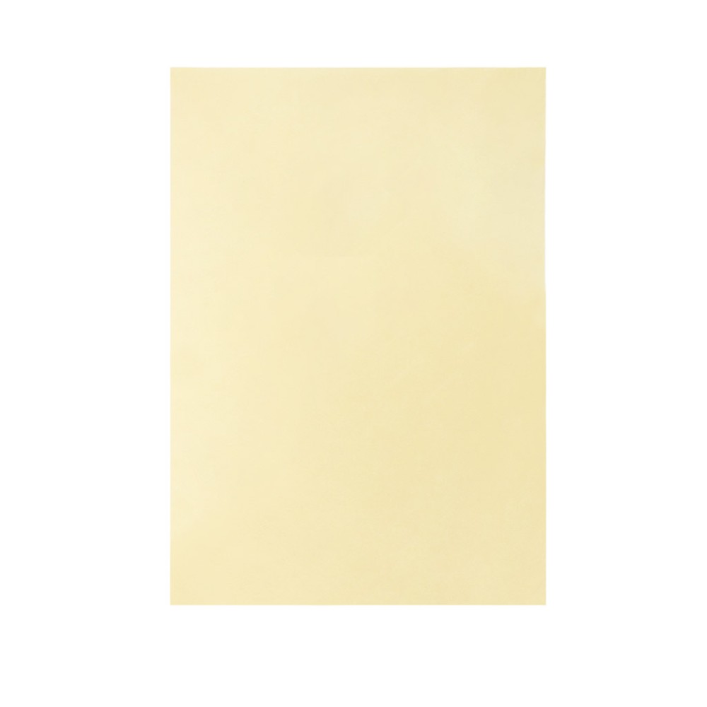 Folha Cartolina Sirio Sadipal A2 50X65cm