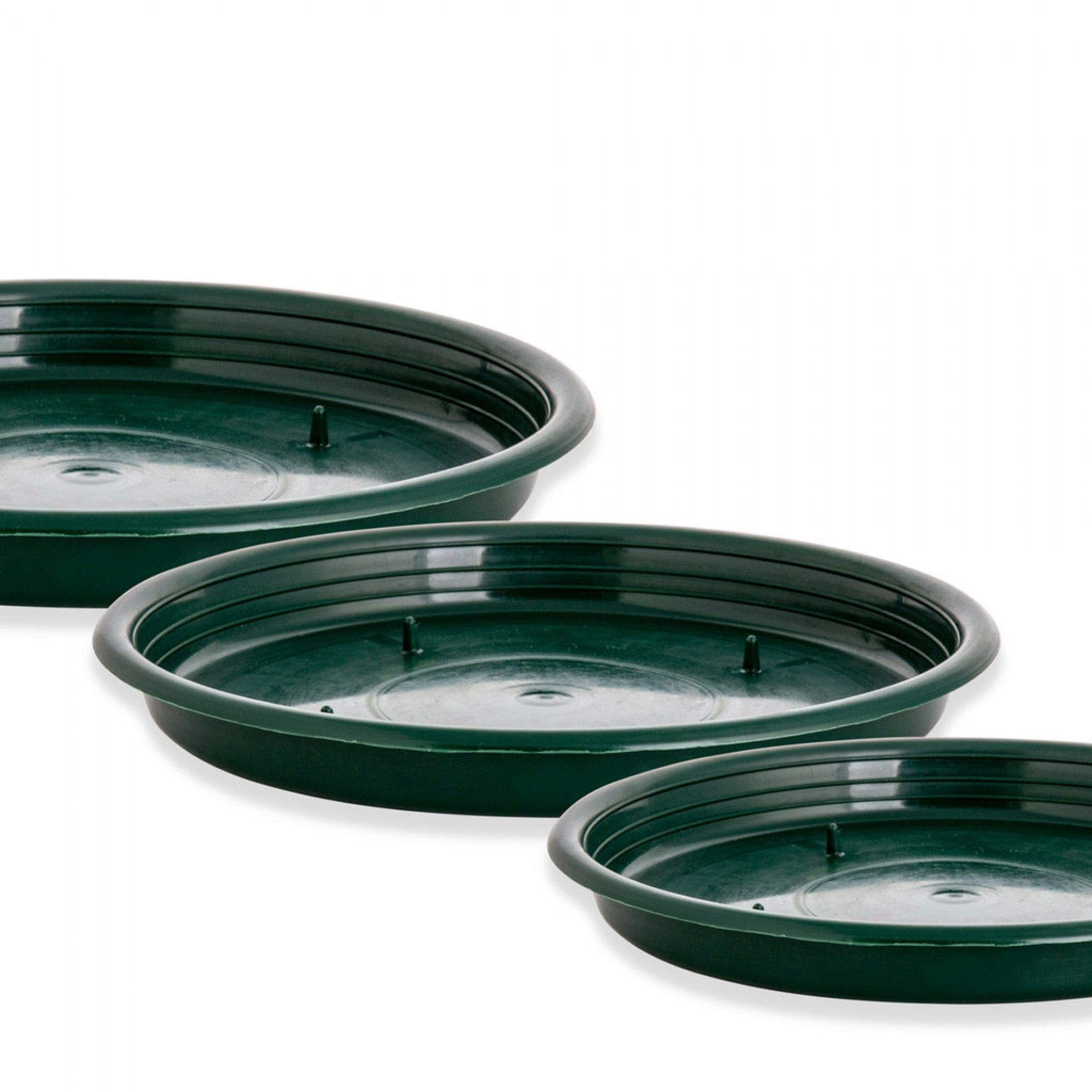 Tabuleiro para Esponja Redondo Verde 22X2cm