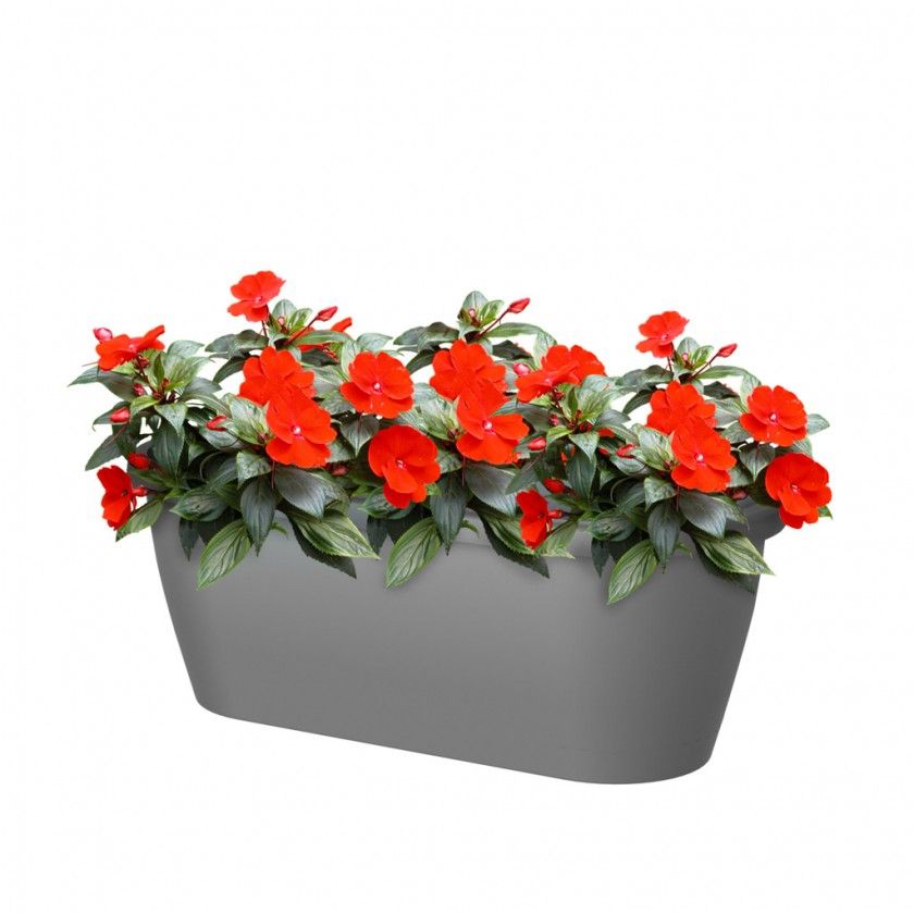 Floreira Algarve Parede 38.5X14.2X14.5cm 5L Antracite Floreira Algarve Parede 38.5X14.2X14.5cm 5L Antracite