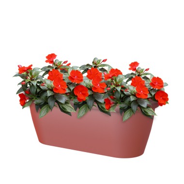 Floreira Algarve Parede 38.5X14.2X14.5cm 5L Vermelho Escuro