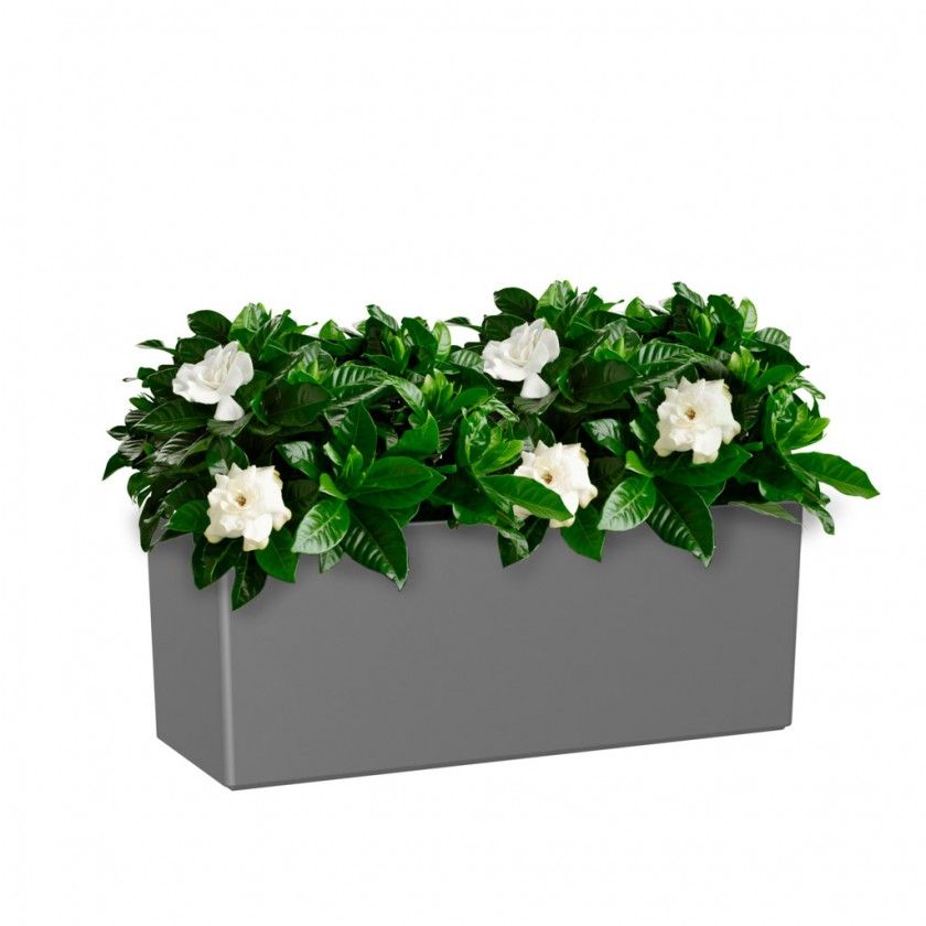 Floreira Rimini 51X20X20cm 17L Antracite Floreira Rimini 51X20X20cm 17L Antracite