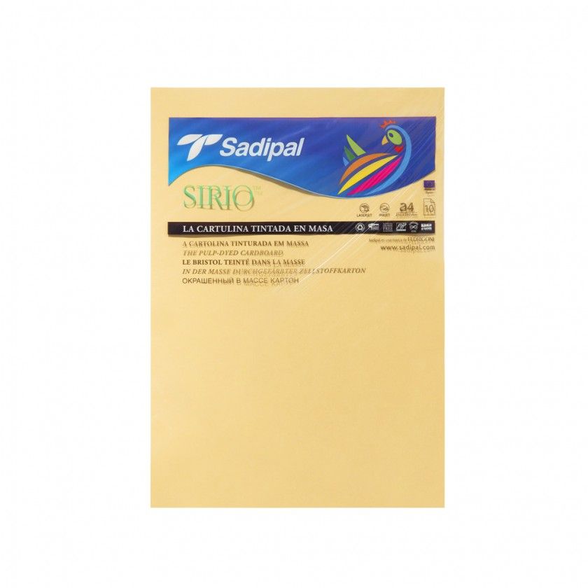 Folha Cartolina Sadipal A4 21X29.7cm Pack 10