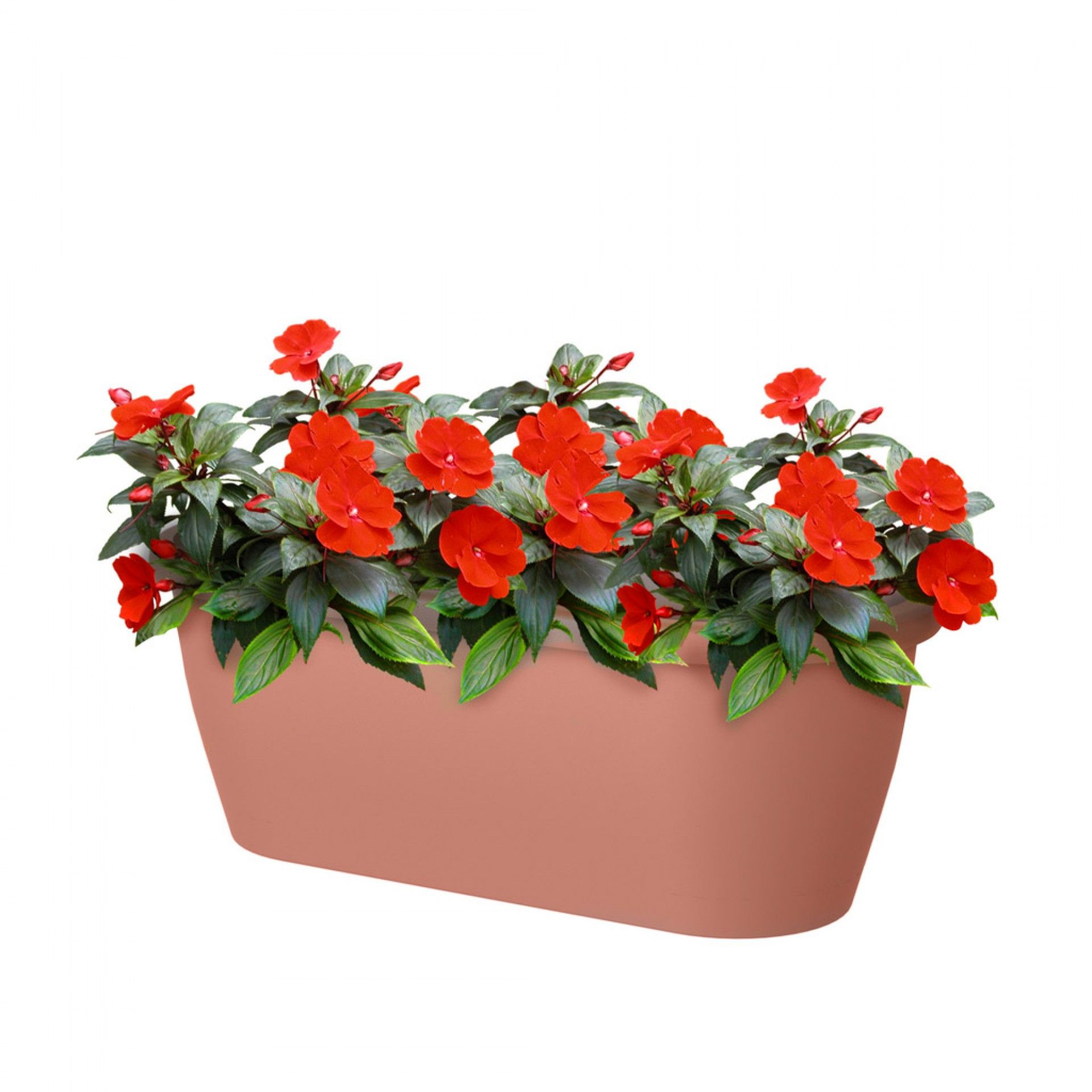 Floreira Algarve Parede 38.5X14.2X14.5cm 5L Terracota