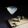 Copo Cocktail Poliestireno 280ml 11.8X11.8X16.8cm Pack 6 Copo Cocktail Poliestireno 280ml 11.8X11.8X16.8cm Pack 6