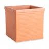 Terracota