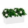 Floreira Rimini 51X20X20cm 17L Branco Floreira Rimini 51X20X20cm 17L Branco