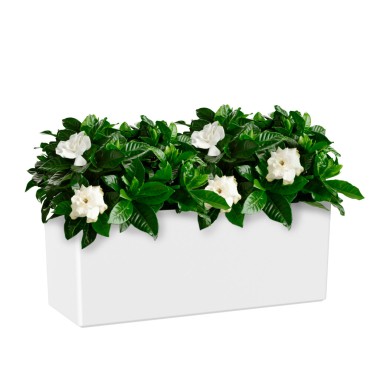 Floreira Rimini 51X20X20cm 17L Branco