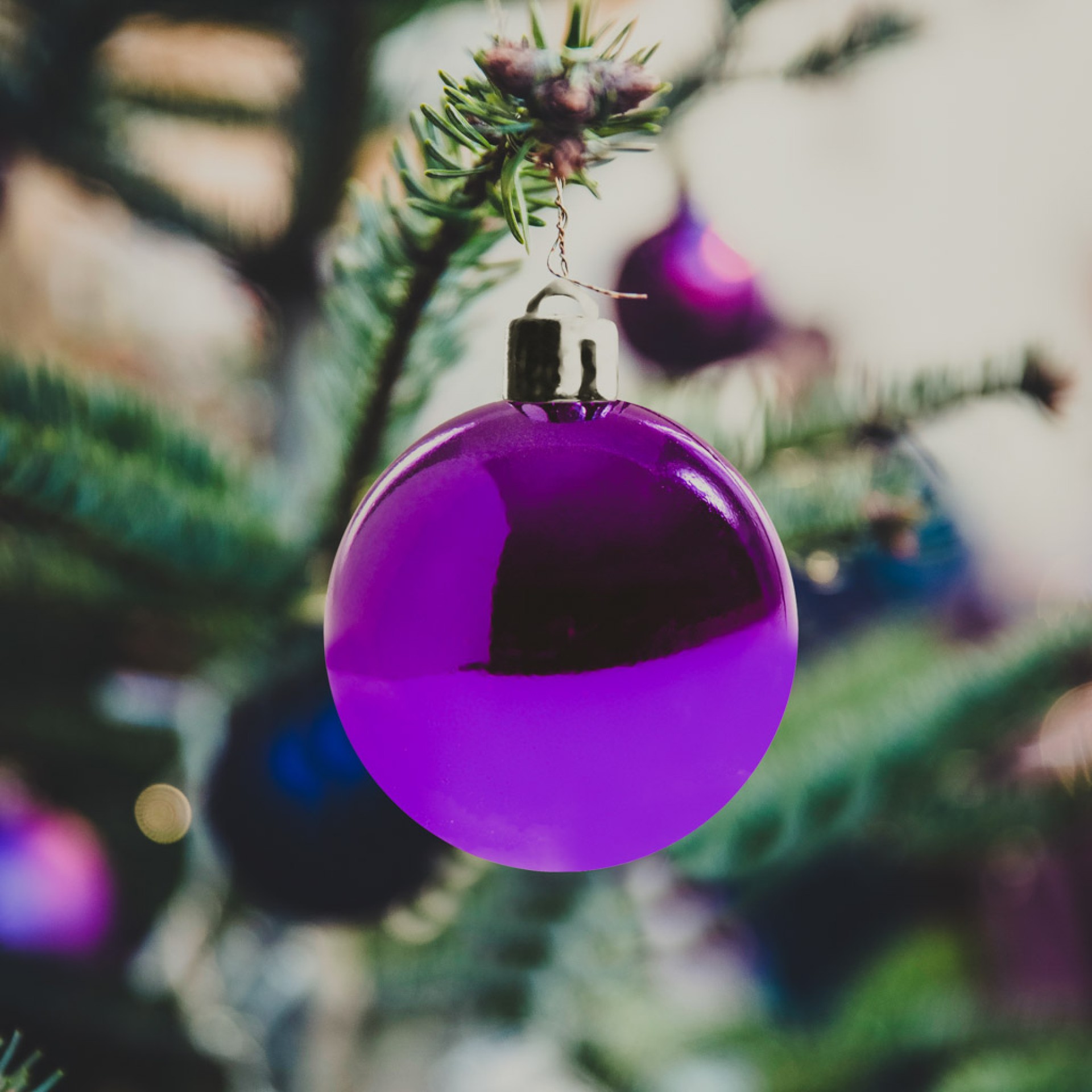Bola Natal Violeta 7CM Pack 6