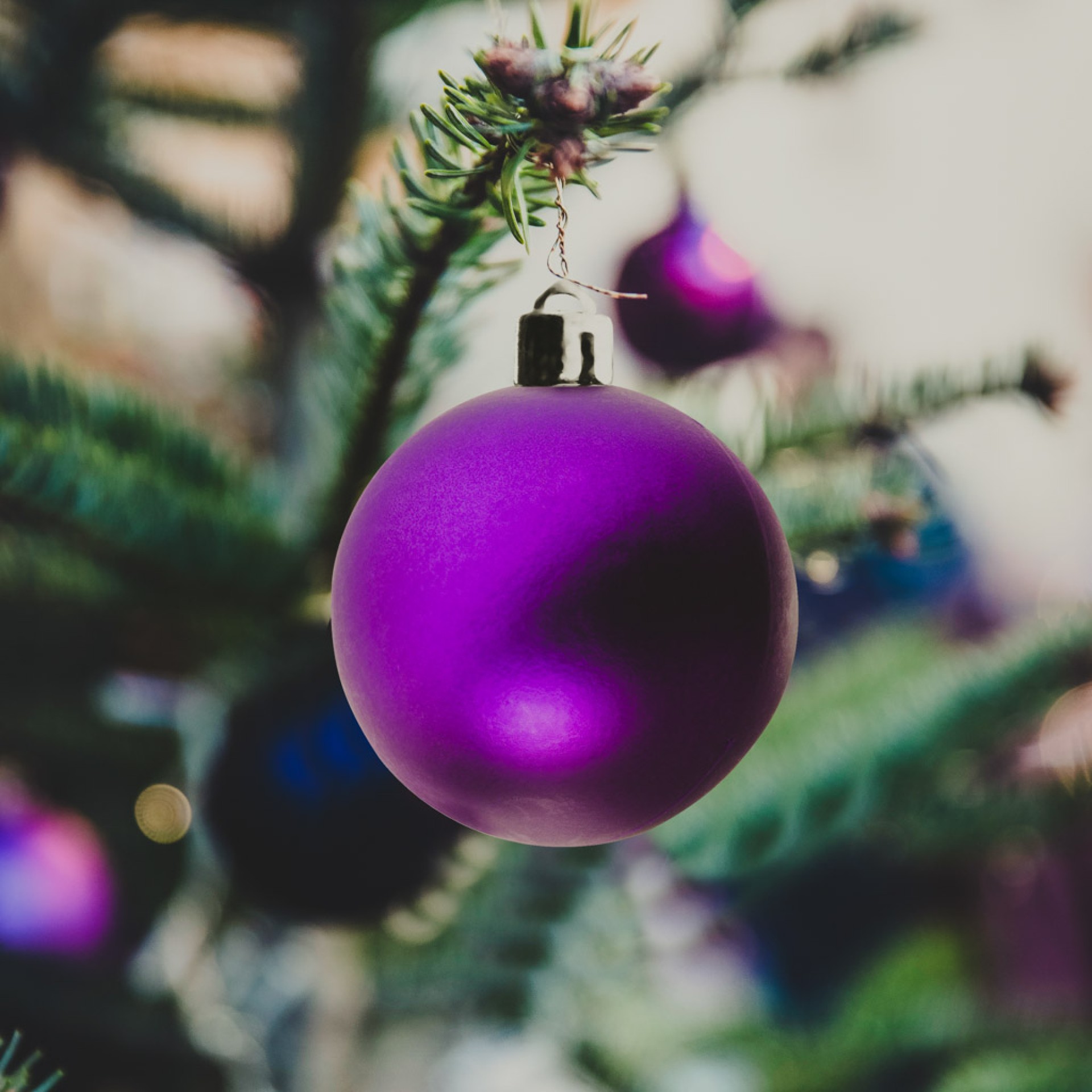 Bola Natal Violeta 6CM Pack 10