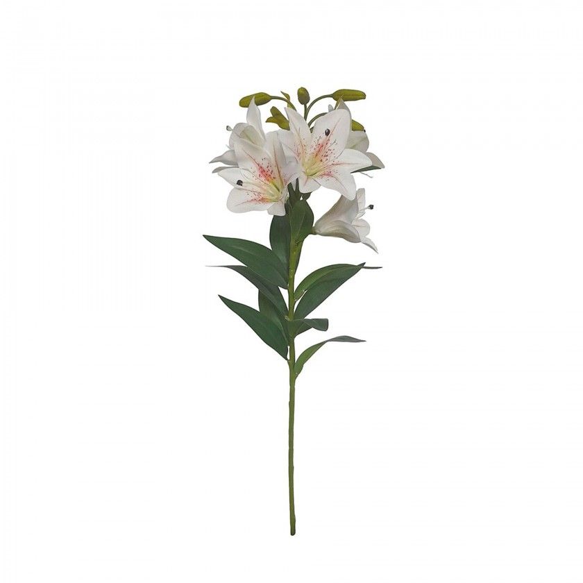 Haste Coroa Imperial 5 Flores 75cm