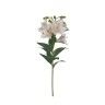 Haste Coroa Imperial 5 Flores 75cm Haste Coroa Imperial 5 Flores 75cm