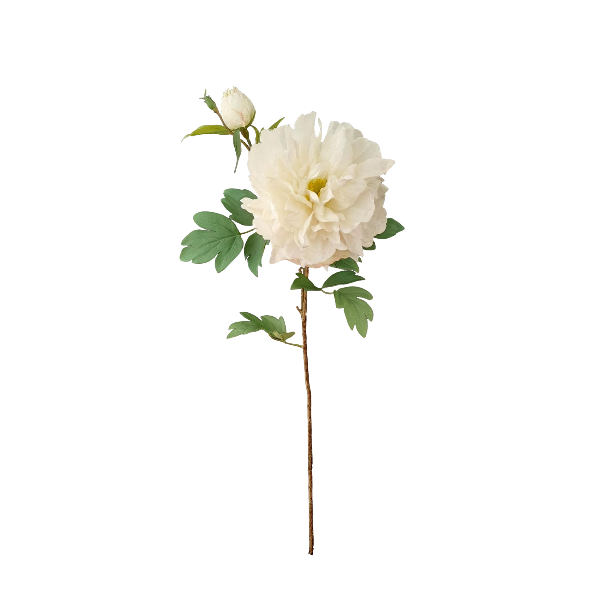 Haste Peónia Botão 70cm