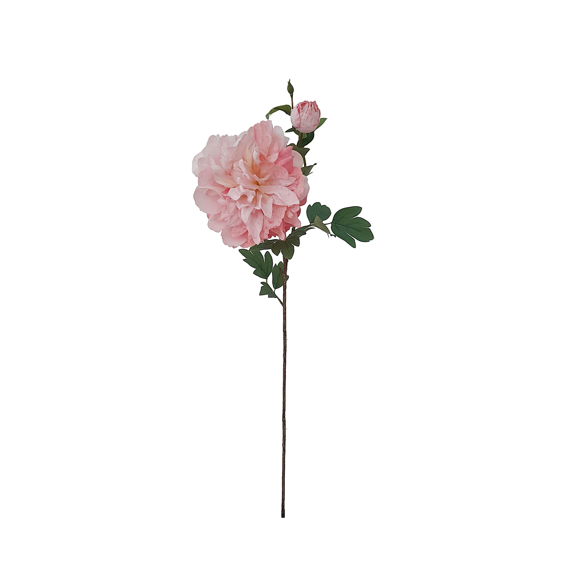 Haste Peónia Botão 70cm