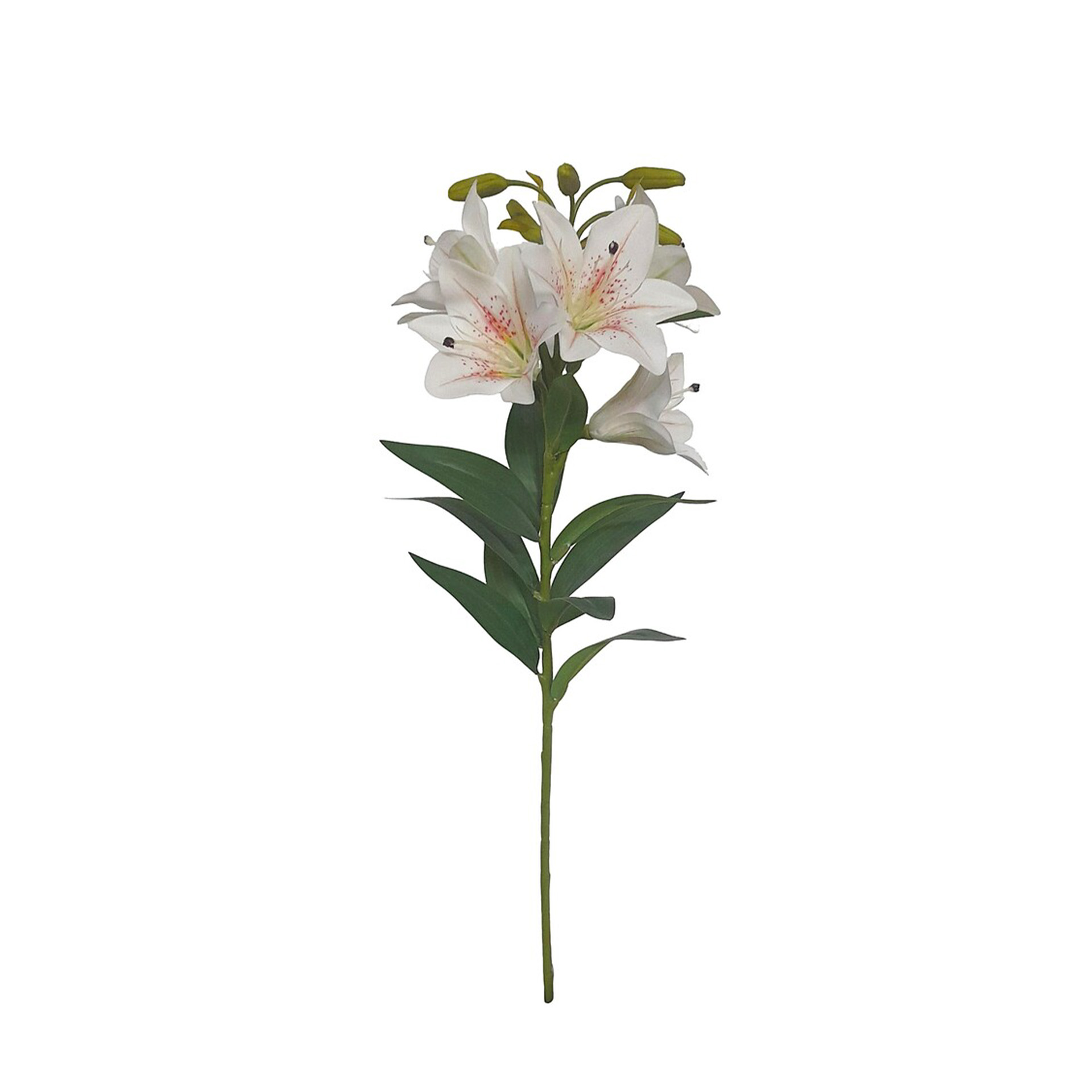 Haste Coroa Imperial 5 Flores 75cm