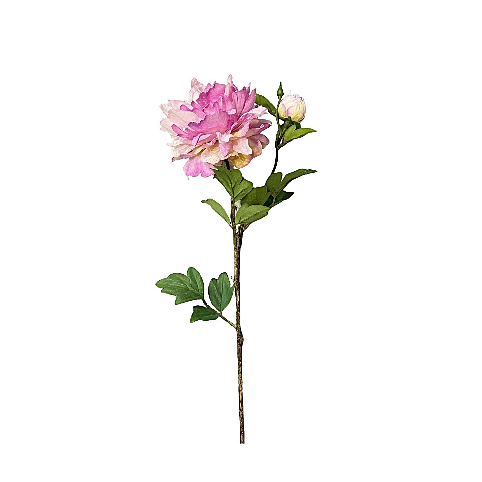 Haste Peónia Botão 70cm