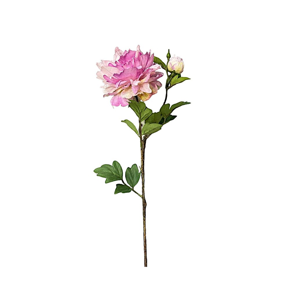 Haste Peónia Botão 70cm