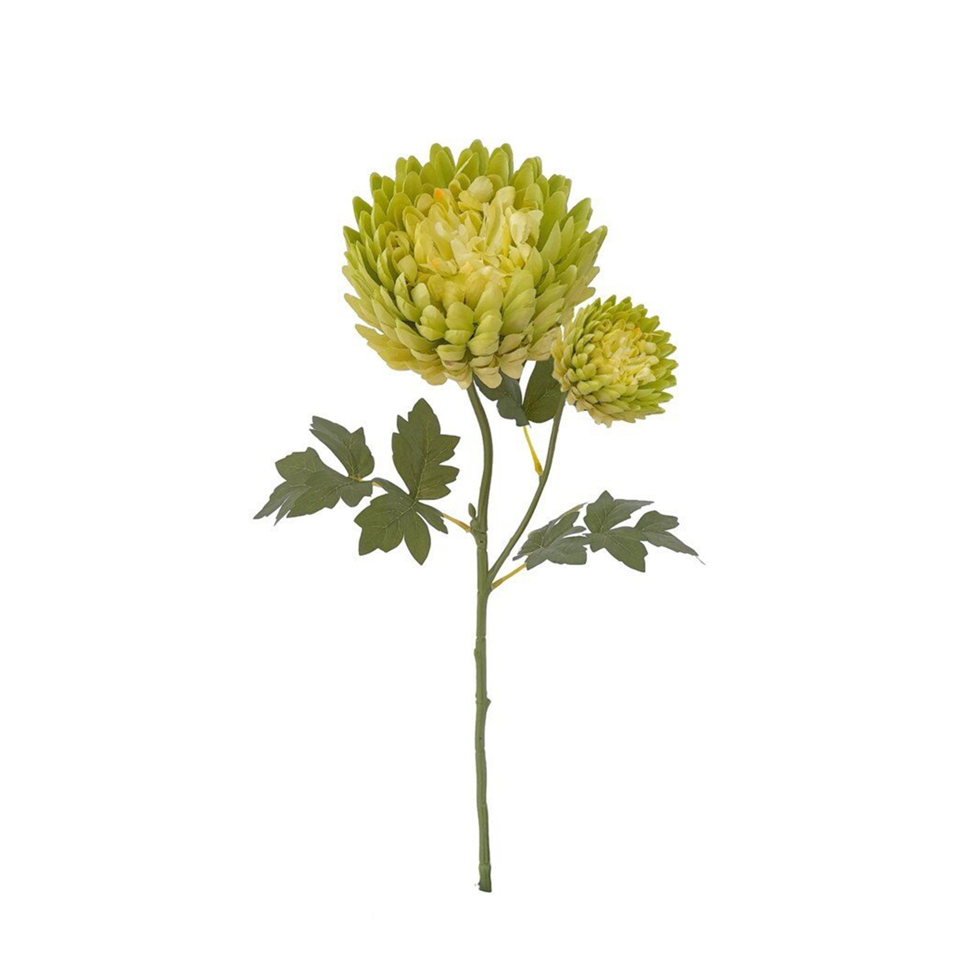 Haste Crisântemos 60cm