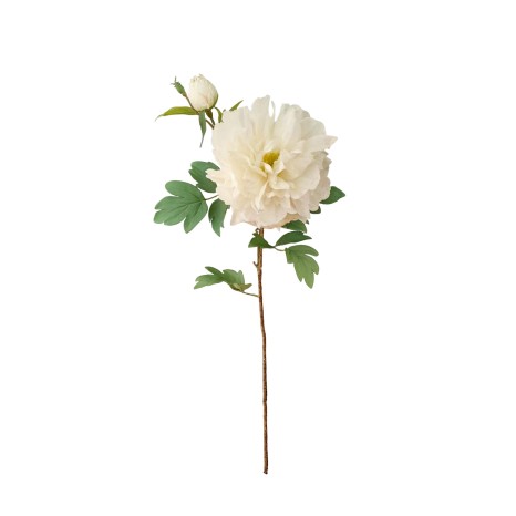 Haste Peónia Botão 70cm - Image product