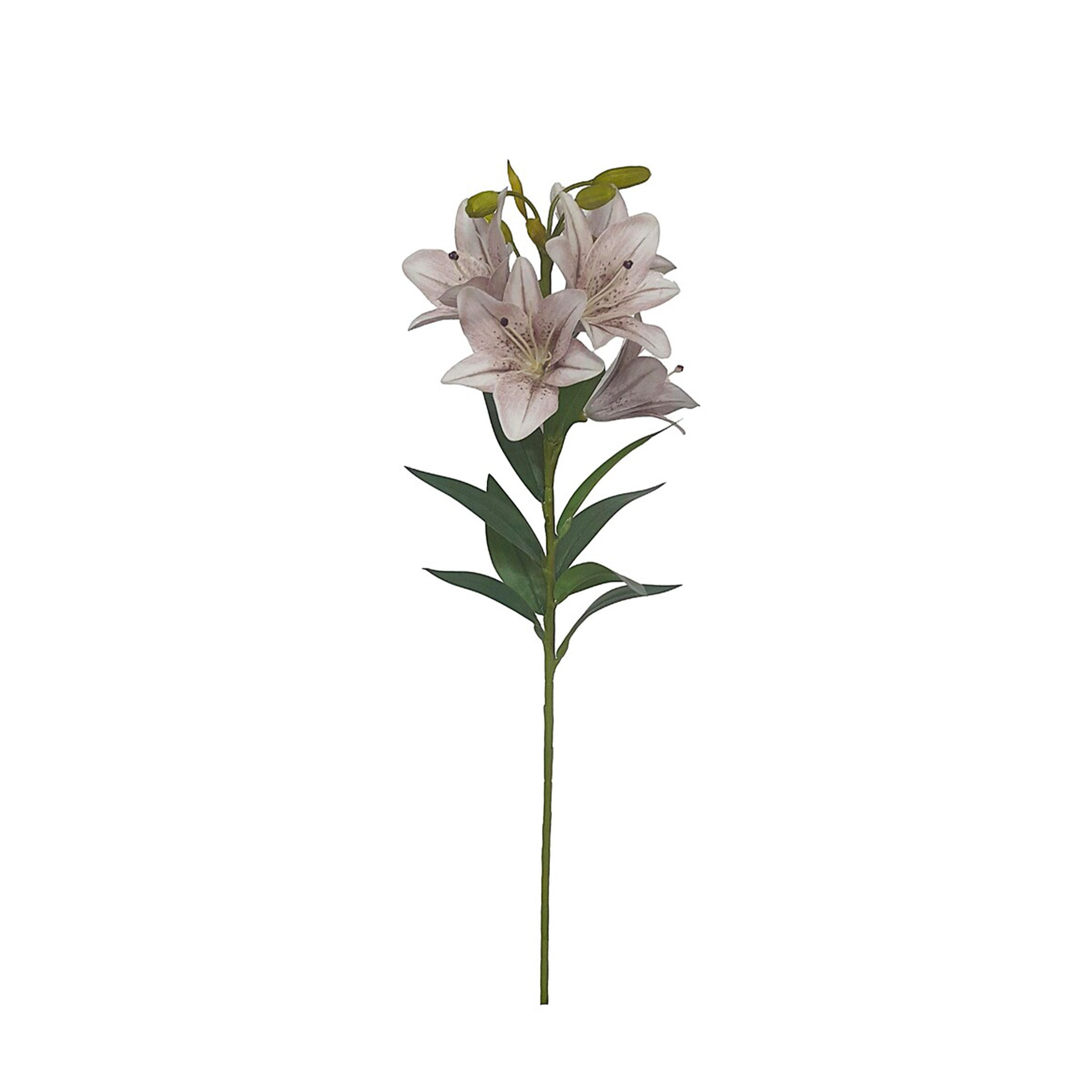 Haste Coroa Imperial 5 Flores 75cm