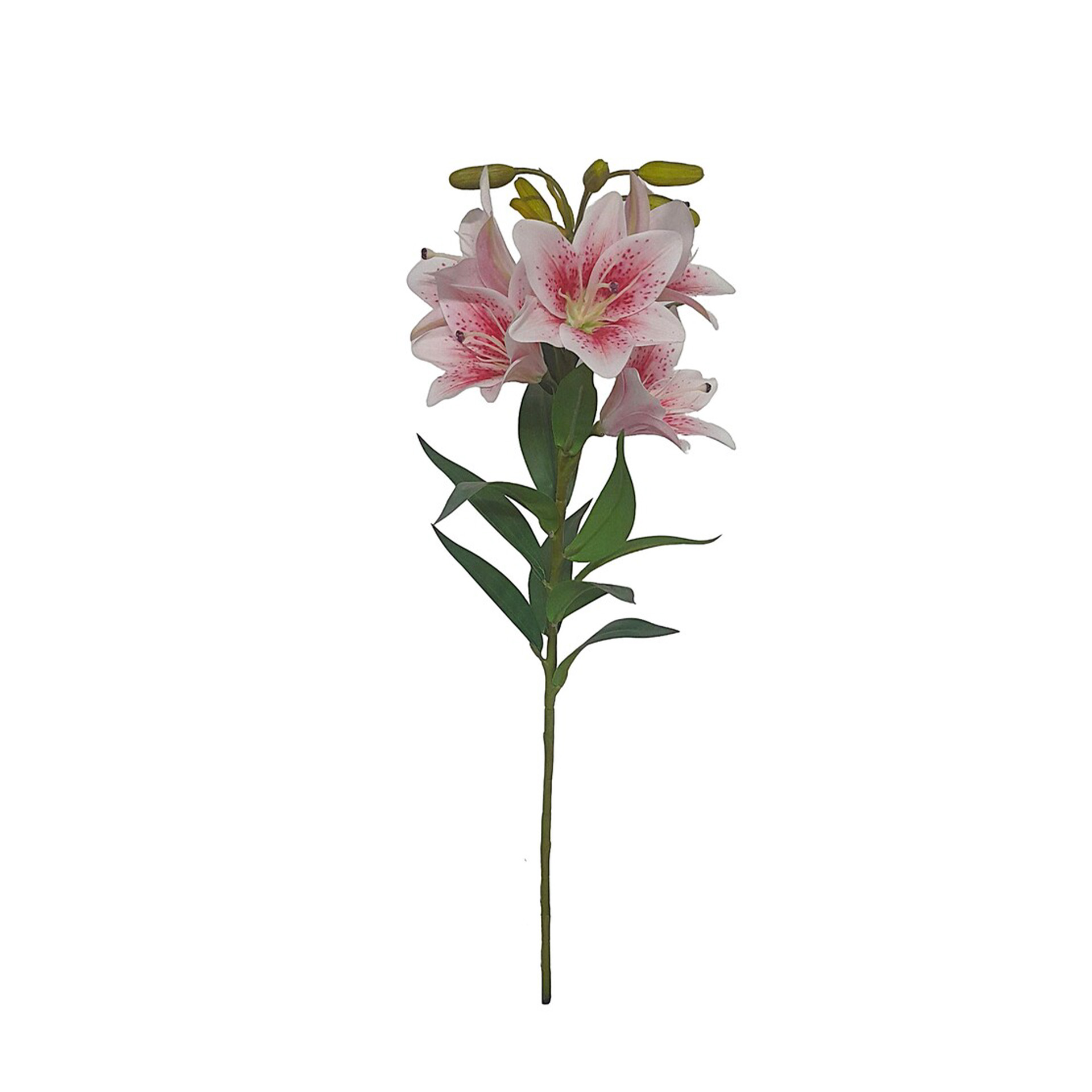 Haste Coroa Imperial 5 Flores 75cm