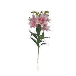Haste Coroa Imperial 5 Flores 75cm
