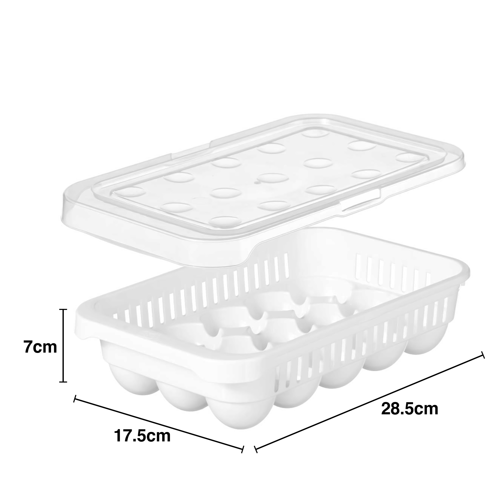 Caixa Porta Ovos 15 Unidades 28.5X17.5X7cm