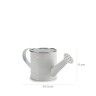 Regador Metal Fio Prata 750ml 11X24.5X11cm Regador Metal Fio Prata 750ml 11X24.5X11cm