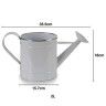Regador Metal Fio Prata 2000ml 35.5X15.7X18cm Regador Metal Fio Prata 2000ml 35.5X15.7X18cm