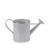 Regador Metal Fio Prata 2000ml 35.5X15.7X18cm Regador Metal Fio Prata 2000ml 35.5X15.7X18cm
