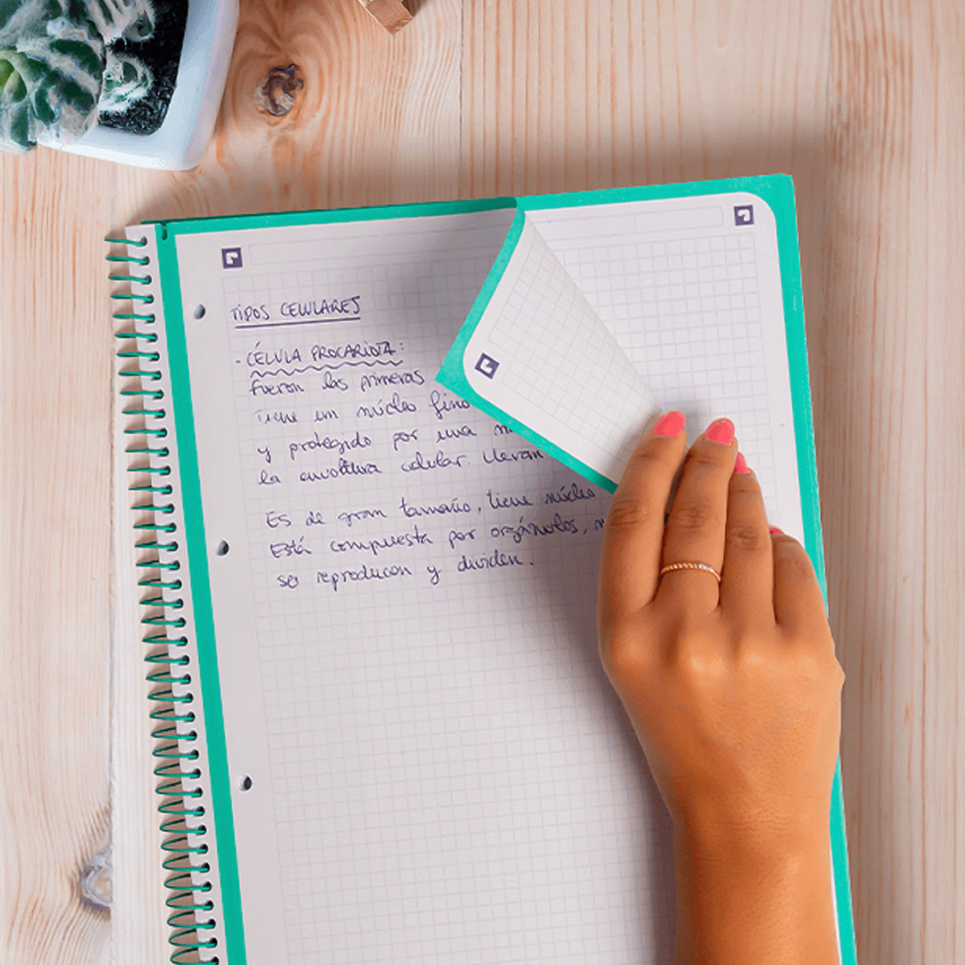 Caderno Espiral Capa Dura Oxford School A4 80 Folhas Pautado Cor viva