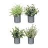 Vaso Planta Artificial Planta Verde Sortida 10X18cm Vaso Planta Artificial Planta Verde Sortida 10X18cm