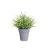 Vaso Planta Artificial Planta Verde Sortida 10X12X18cm Vaso Planta Artificial Planta Verde Sortida 10X12X18cm