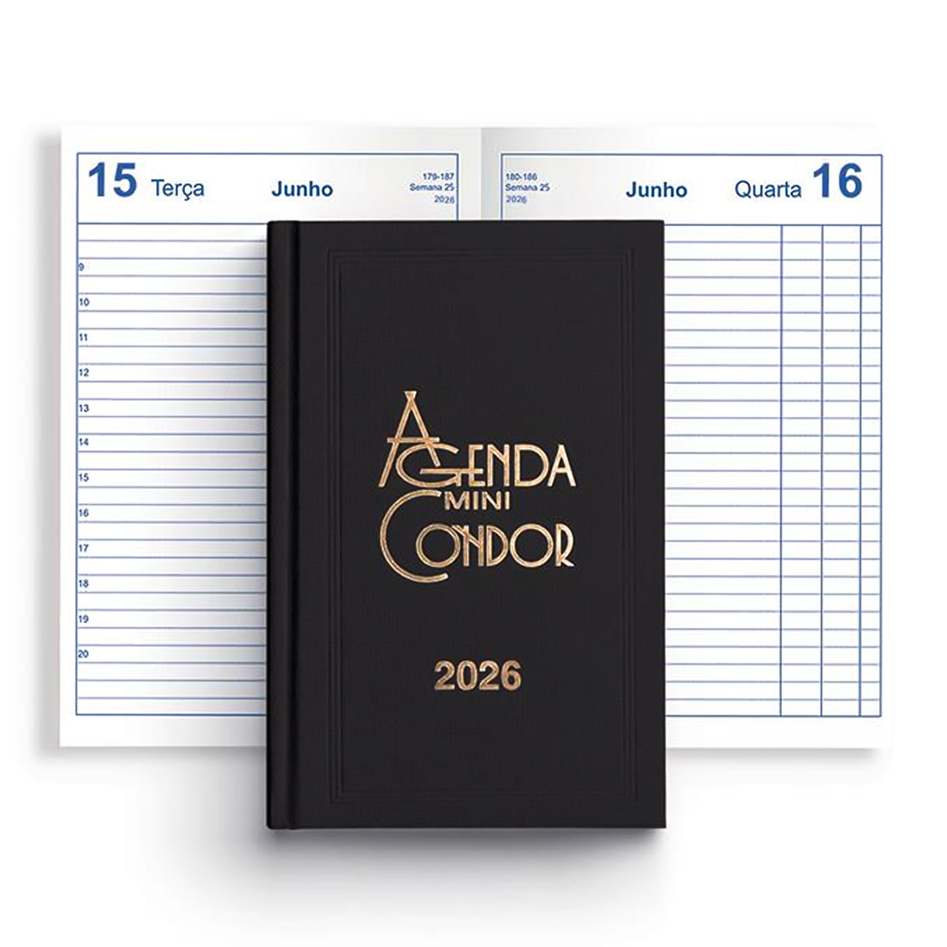 Agenda Diária 2026 Mini Condor Preto 10X16cm