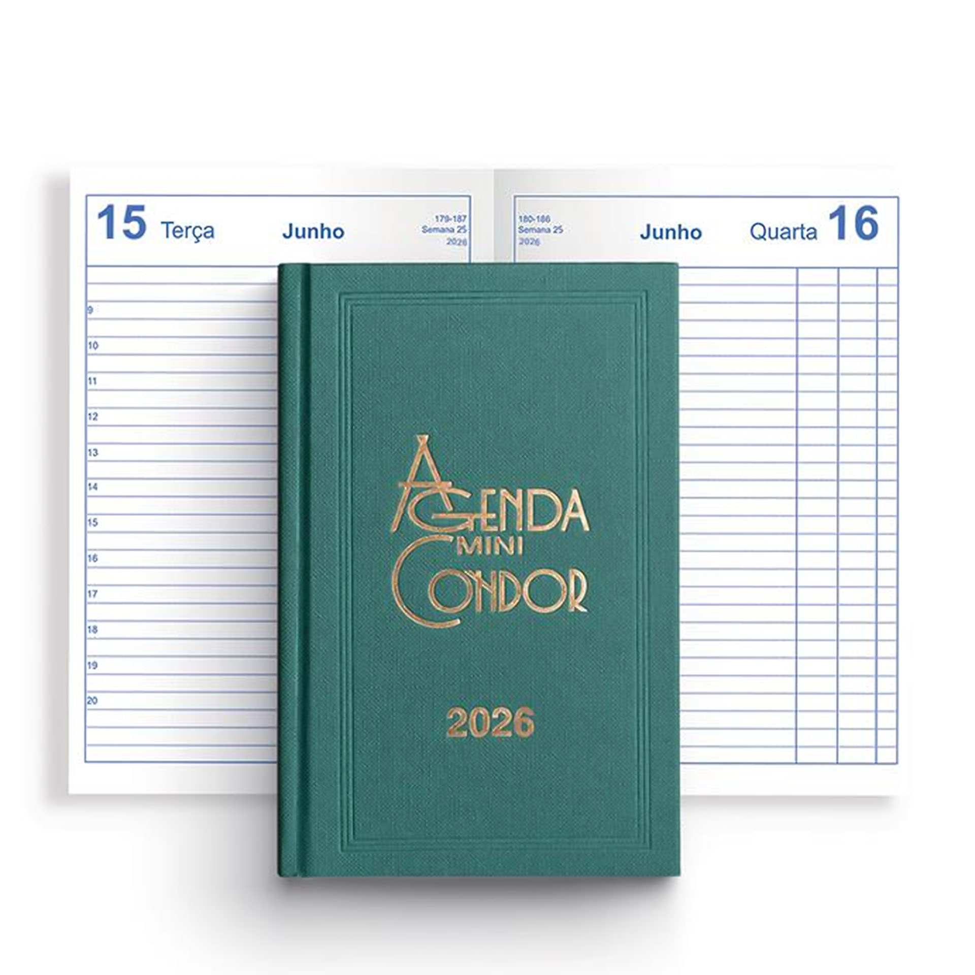 Agenda Diária 2026 Mini Condor Verde 10X16cm