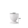 Oveiro Coimbra Branco 5.3X5cm