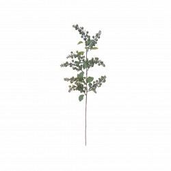 Haste Azevinho 95cm