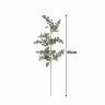 Haste Azevinho 95cm