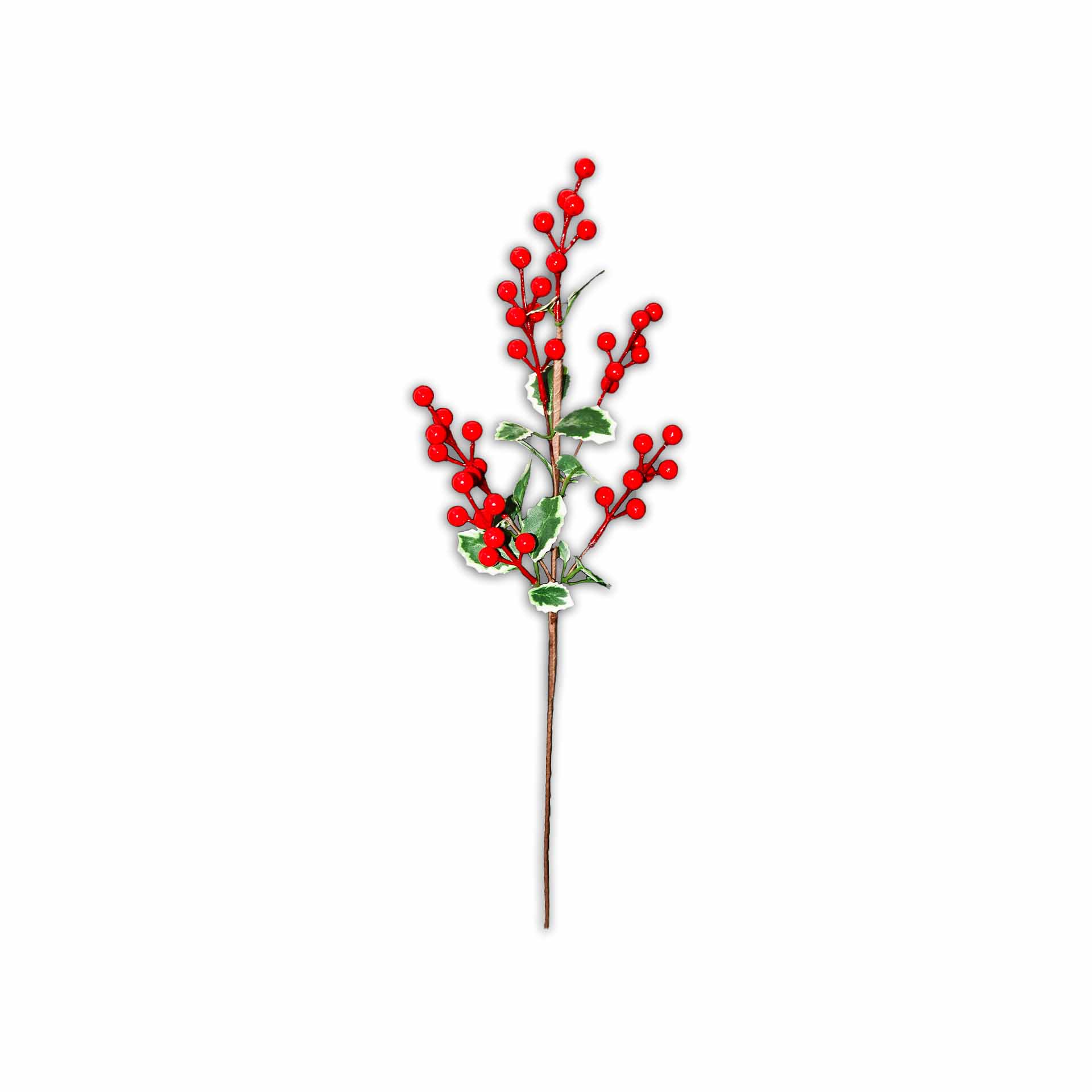 Haste Azevinho 95cm
