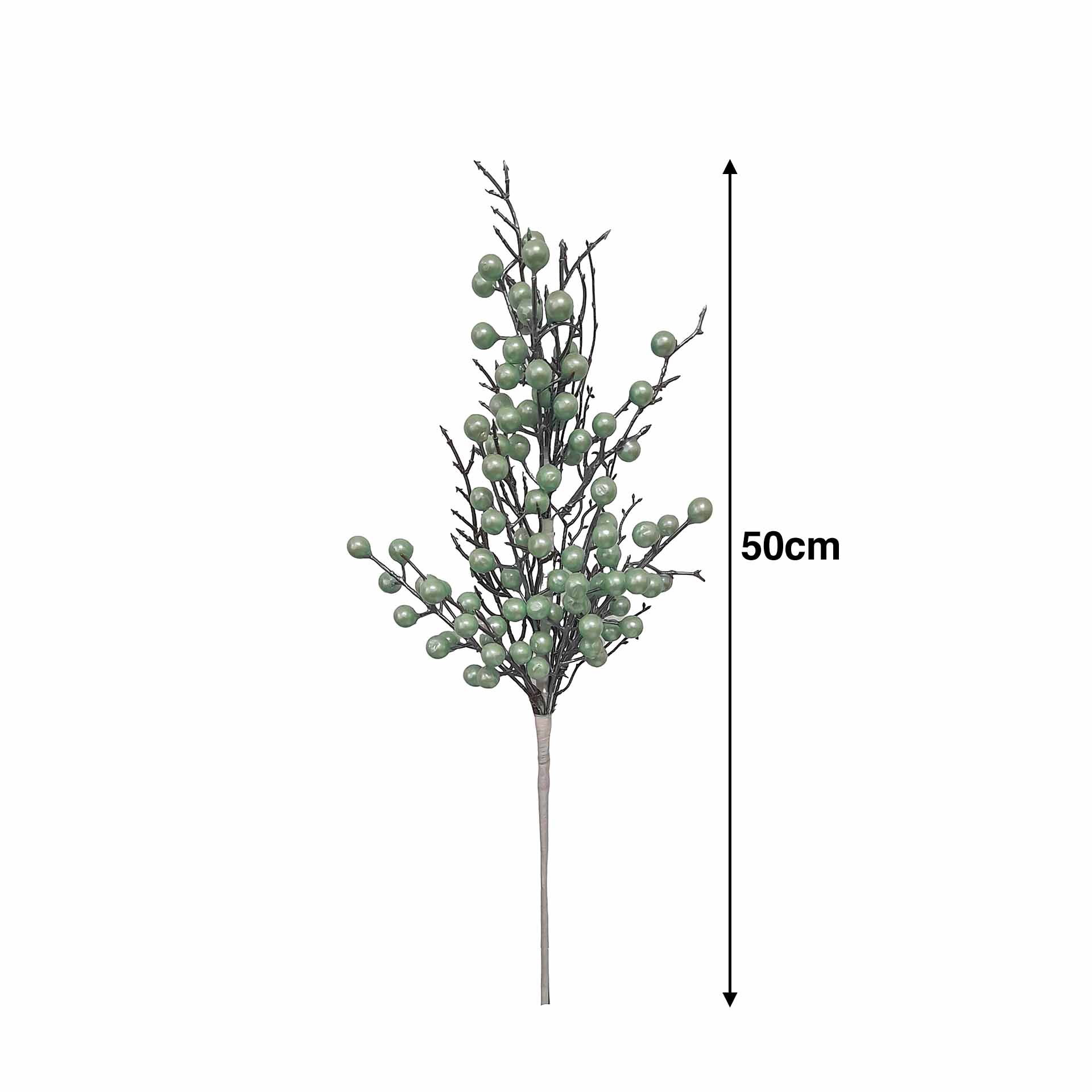 Haste Bagas E Raízes 50cm