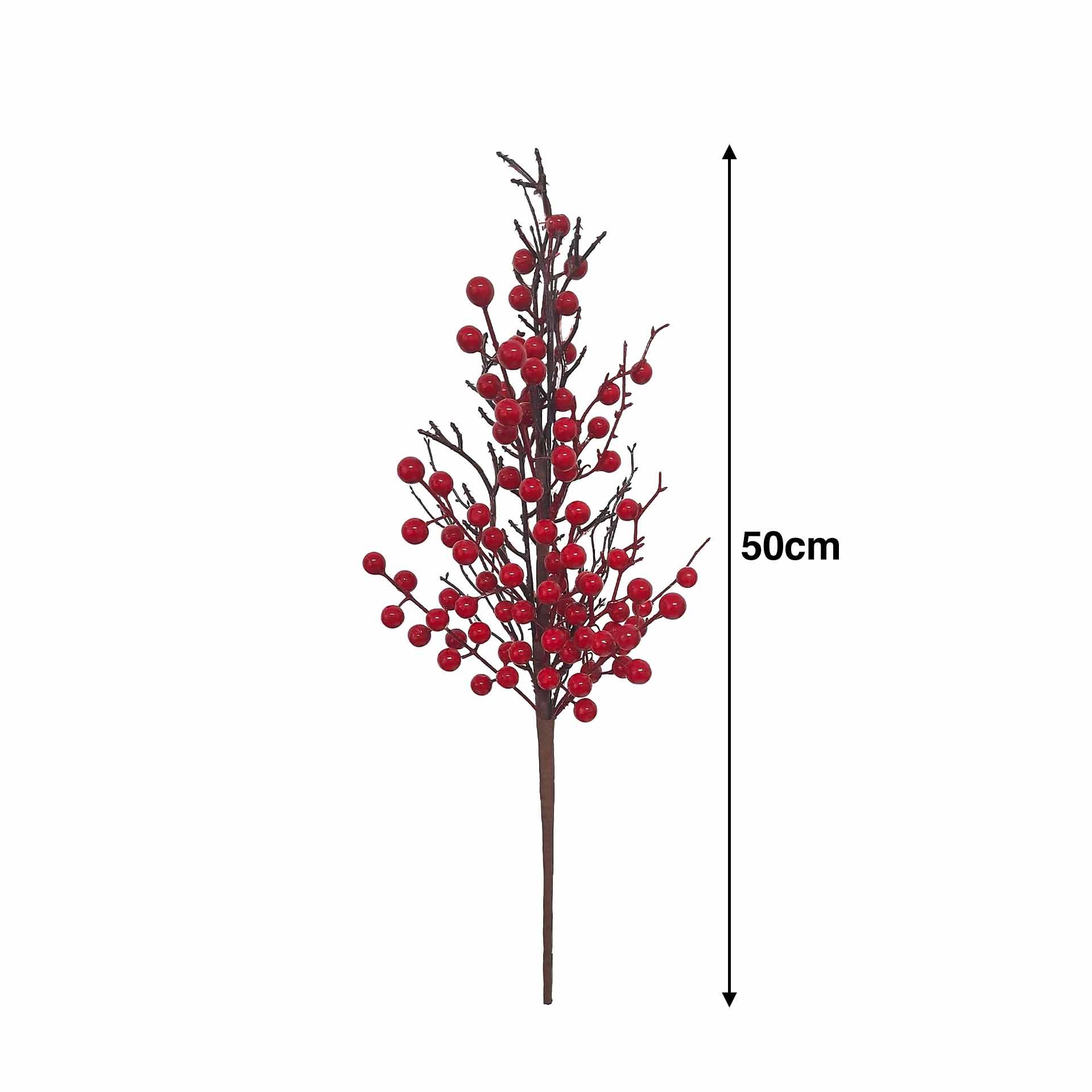Haste Bagas E Raízes 50cm